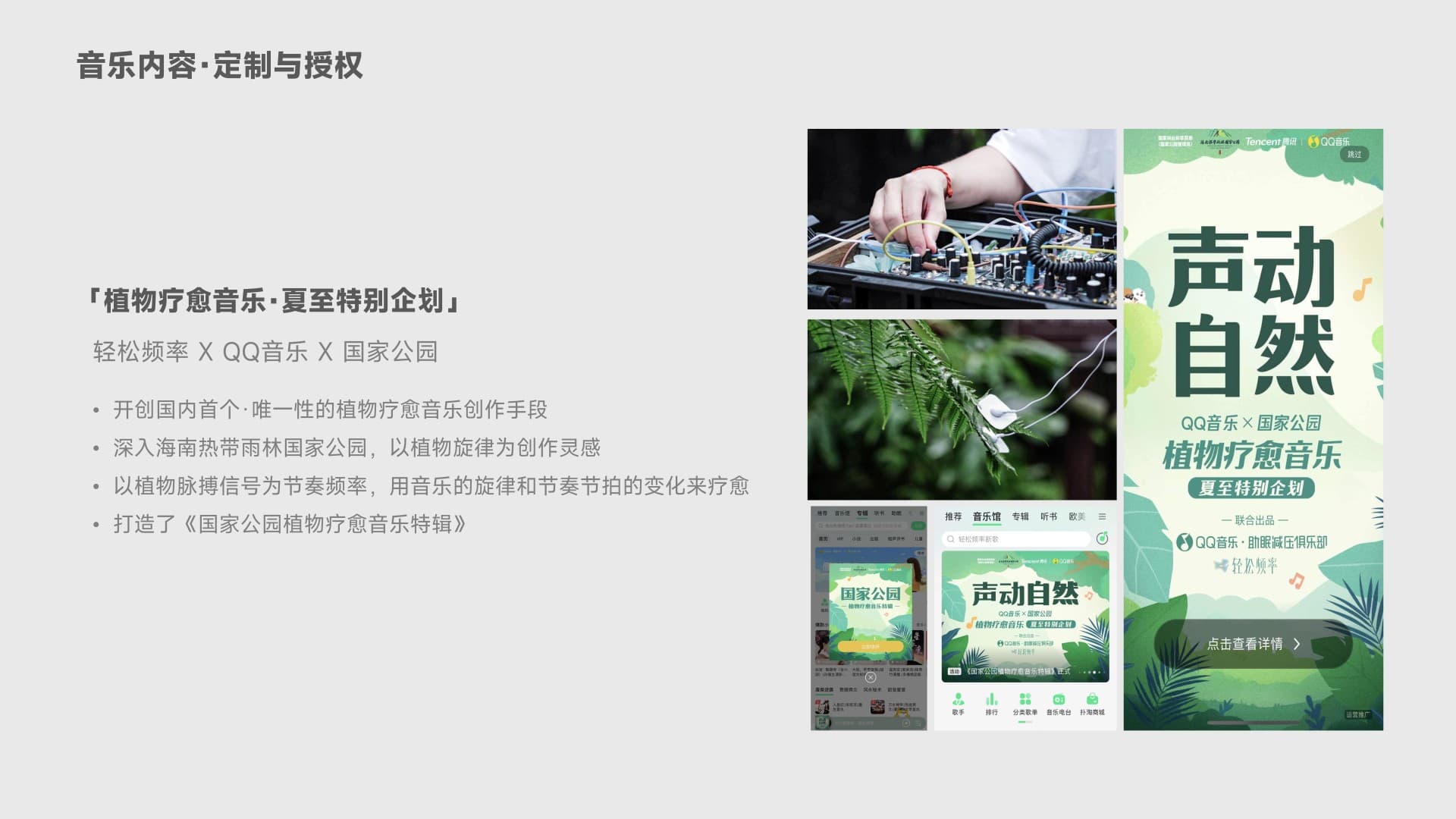 国家公园植物疗愈音乐
